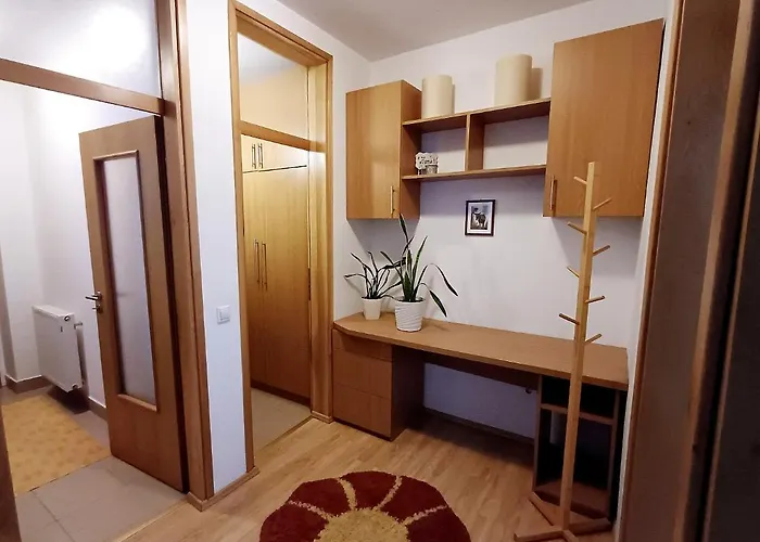 Daire Damir Saraybosna