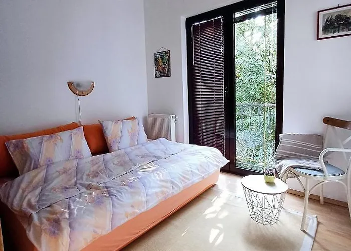 Daire Damir Saraybosna